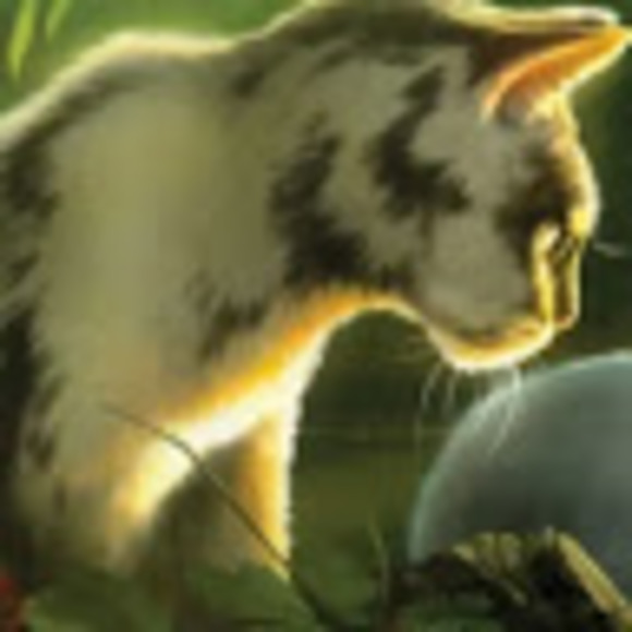 Meet your Posher, Housefinchh - Picture 1 of 1